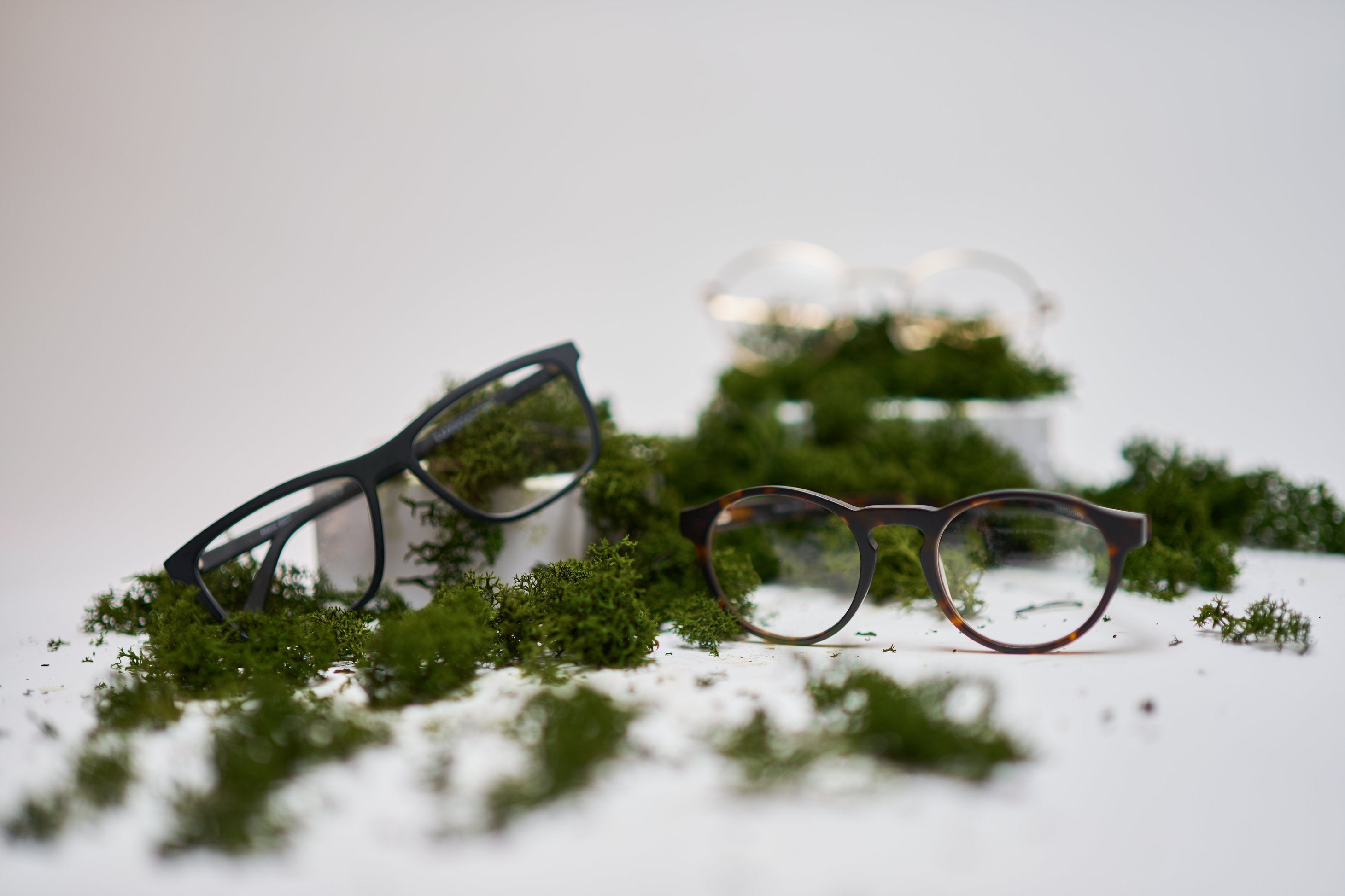 Iniziative eco-friendly