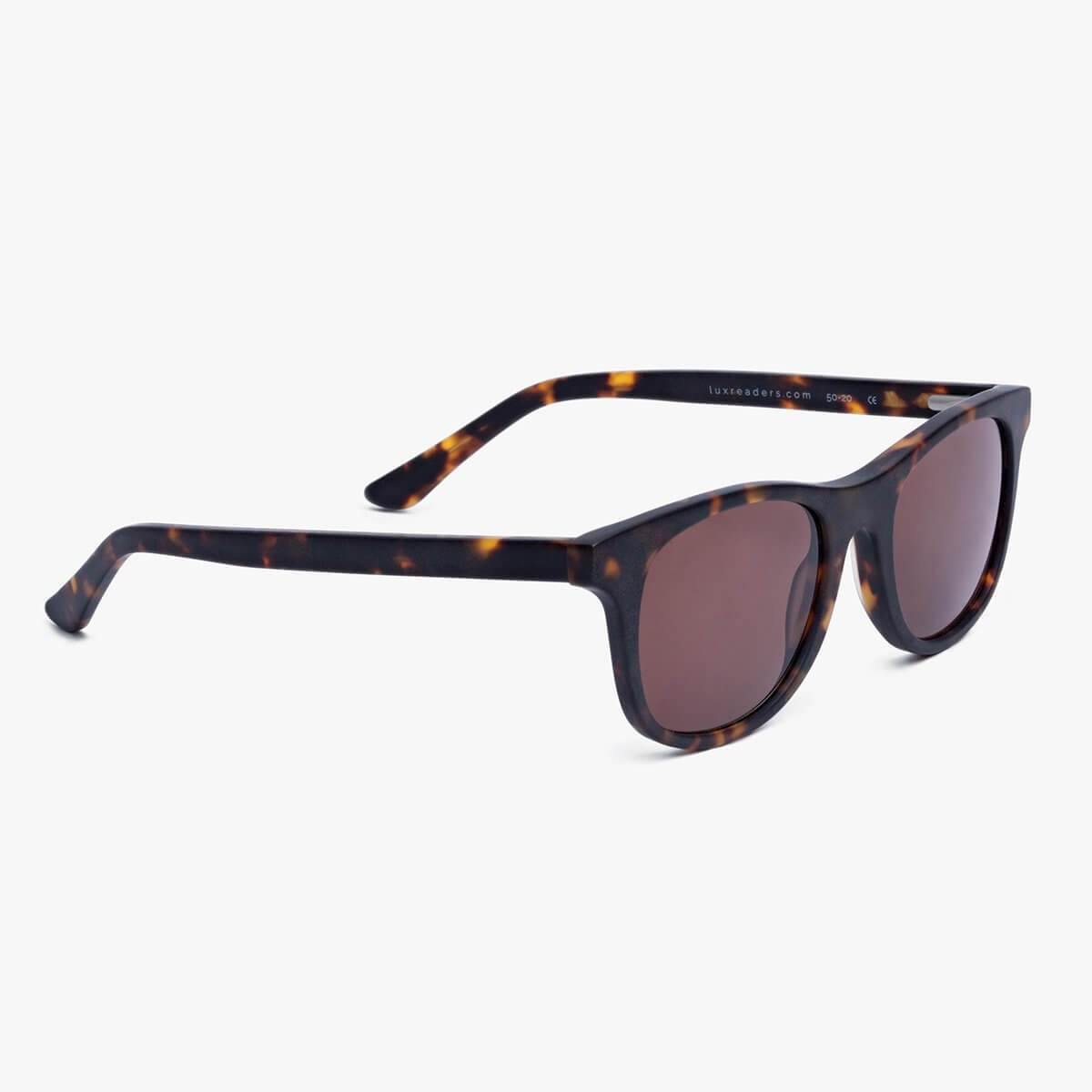 Men's dark turtle sunglasses with tortoiseshell pattern by Luxreaders